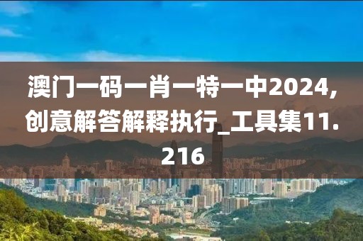 澳门一码一肖一特一中2024,创意解答解释执行_工具集11.216