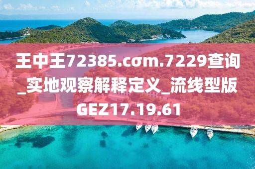 王中王72385.cσm.7229查询_实地观察解释定义_流线型版GEZ17.19.61