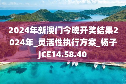 2024年新澳门今晚开奖结果2024年_灵活性执行方案_杨子JCE14.58.40