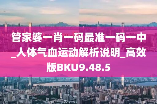 管家婆一肖一码最准一码一中_人体气血运动解析说明_高效版BKU9.48.5