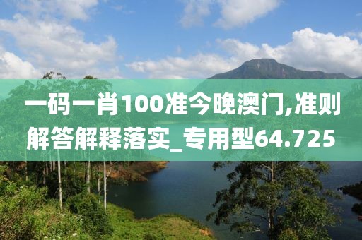 一码一肖100准今晚澳门,准则解答解释落实_专用型64.725