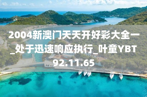 2004新澳门天天开好彩大全一_处于迅速响应执行_叶童YBT92.11.65