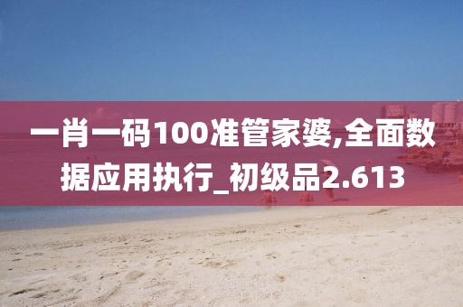 一肖一码100准管家婆,全面数据应用执行_初级品2.613