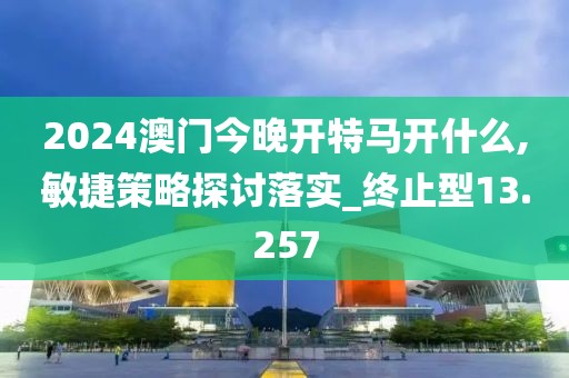 2024澳门今晚开特马开什么,敏捷策略探讨落实_终止型13.257