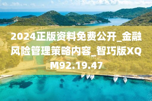 2024正版资料免费公开_金融风险管理策略内容_智巧版XQM92.19.47