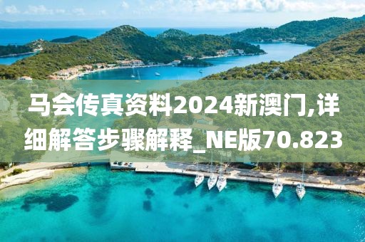 马会传真资料2024新澳门,详细解答步骤解释_NE版70.823