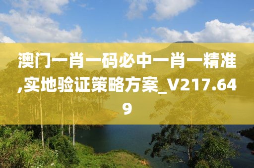 澳门一肖一码必中一肖一精准,实地验证策略方案_V217.649