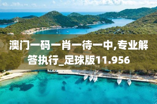 澳门一码一肖一待一中,专业解答执行_足球版11.956