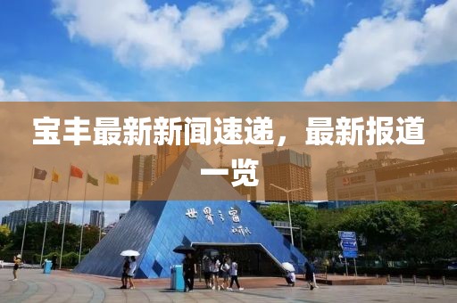 宝丰最新新闻速递，最新报道一览