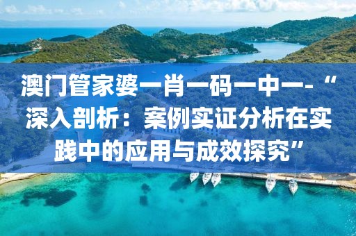 澳门管家婆一肖一码一中一-“深入剖析：案例实证分析在实践中的应用与成效探究”