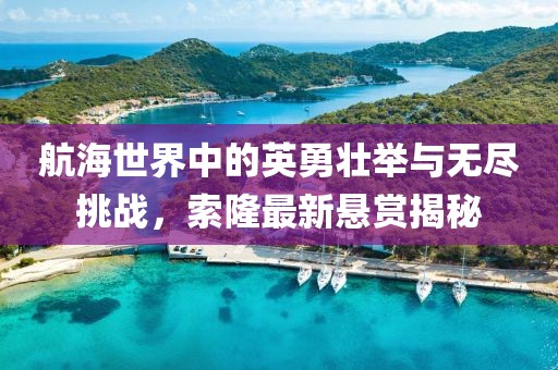 航海世界中的英勇壮举与无尽挑战，索隆最新悬赏揭秘