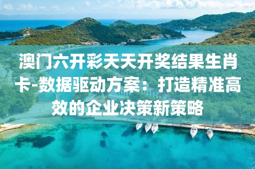 澳门六开彩天天开奖结果生肖卡-数据驱动方案：打造精准高效的企业决策新策略
