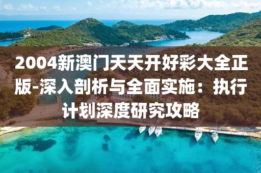 2004新澳门天天开好彩大全正版-深入剖析与全面实施：执行计划深度研究攻略