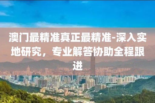 澳门最精准真正最精准-深入实地研究，专业解答协助全程跟进
