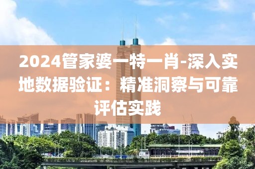 2024管家婆一特一肖-深入实地数据验证：精准洞察与可靠评估实践