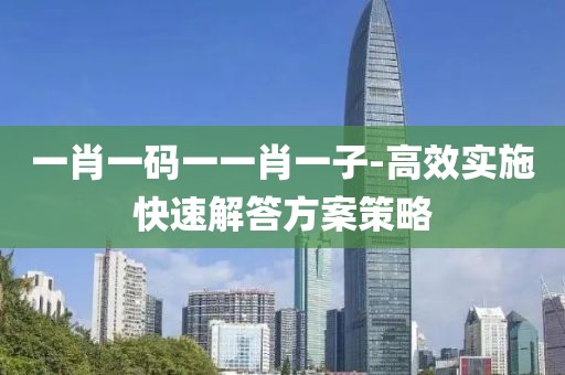 一肖一码一一肖一子-高效实施快速解答方案策略