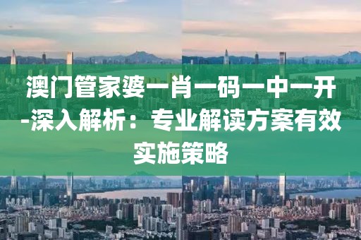 澳门管家婆一肖一码一中一开-深入解析：专业解读方案有效实施策略
