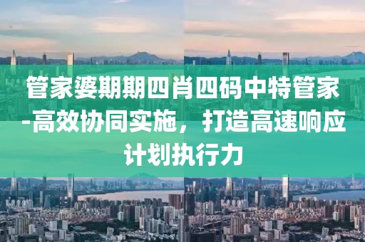 管家婆期期四肖四码中特管家-高效协同实施，打造高速响应计划执行力