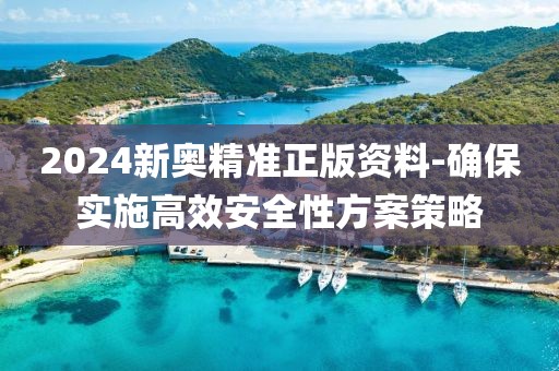 2024新奥精准正版资料-确保实施高效安全性方案策略