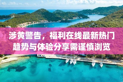 涉黄警告，福利在线最新热门趋势与体验分享需谨慎浏览