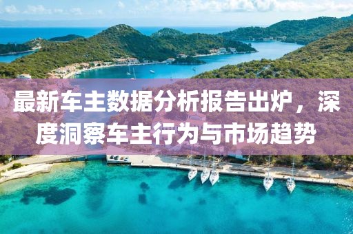 最新车主数据分析报告出炉，深度洞察车主行为与市场趋势