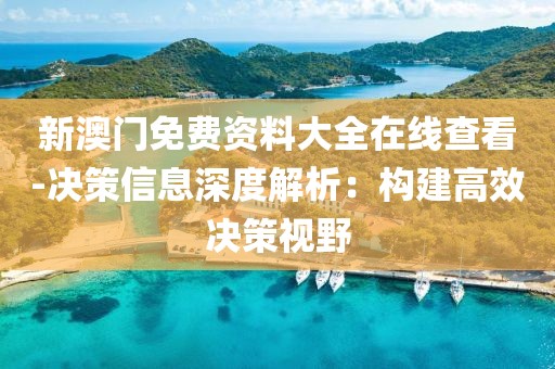 新澳门免费资料大全在线查看-决策信息深度解析：构建高效决策视野