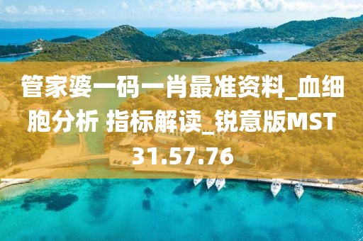 管家婆一码一肖最准资料_血细胞分析 指标解读_锐意版MST31.57.76