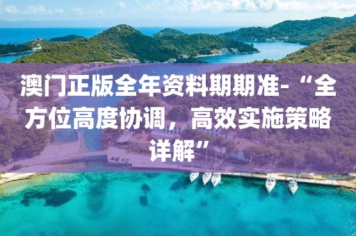 澳门正版全年资料期期准-“全方位高度协调，高效实施策略详解”