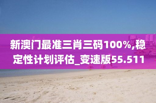 新澳门最准三肖三码100%,稳定性计划评估_变速版55.511