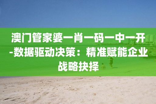 澳门管家婆一肖一码一中一开-数据驱动决策：精准赋能企业战略抉择