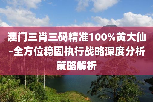 澳门三肖三码精准100%黄大仙-全方位稳固执行战略深度分析策略解析