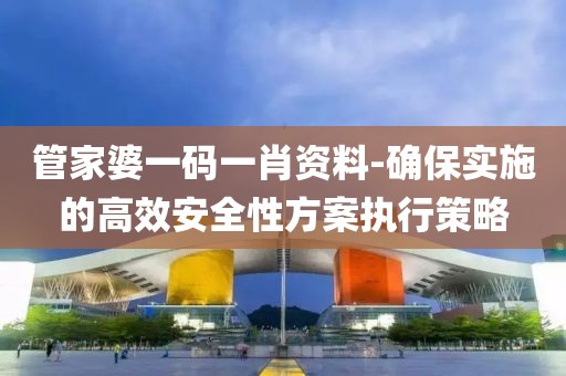 管家婆一码一肖资料-确保实施的高效安全性方案执行策略