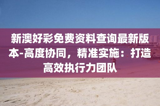 新澳好彩免费资料查询最新版本-高度协同，精准实施：打造高效执行力团队