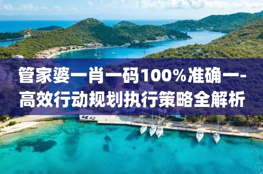 管家婆一肖一码100%准确一-高效行动规划执行策略全解析
