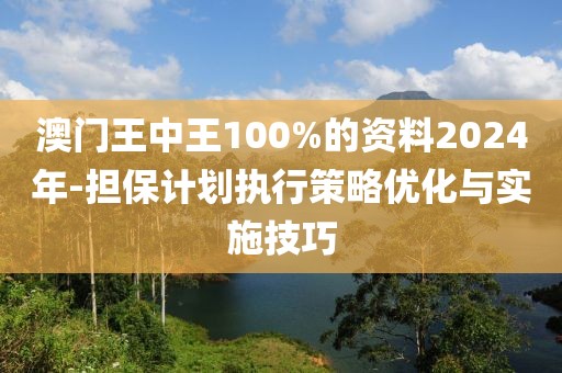 澳门王中王100%的资料2024年-担保计划执行策略优化与实施技巧