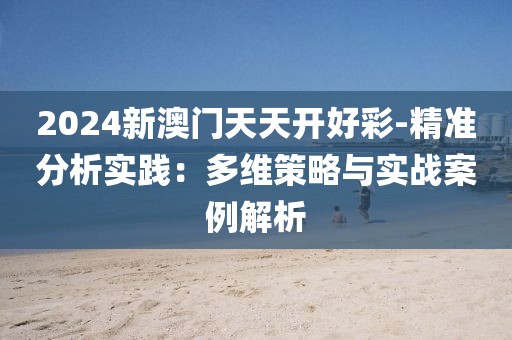 2024新澳门天天开好彩-精准分析实践：多维策略与实战案例解析