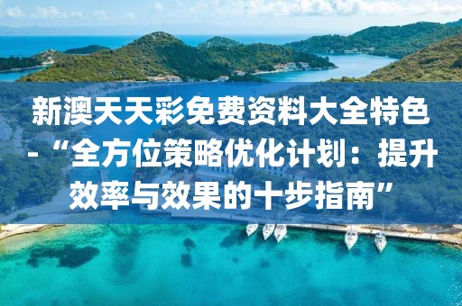 新澳天天彩免费资料大全特色-“全方位策略优化计划：提升效率与效果的十步指南”