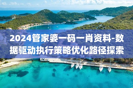 2024管家婆一码一肖资料-数据驱动执行策略优化路径探索