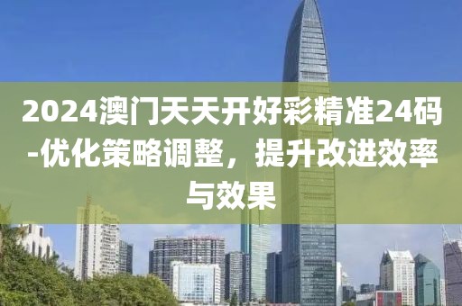 2024澳门天天开好彩精准24码-优化策略调整，提升改进效率与效果