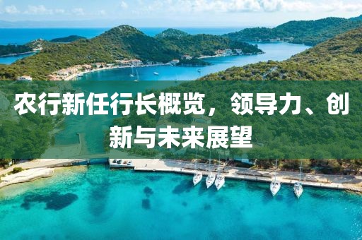 农行新任行长概览，领导力、创新与未来展望