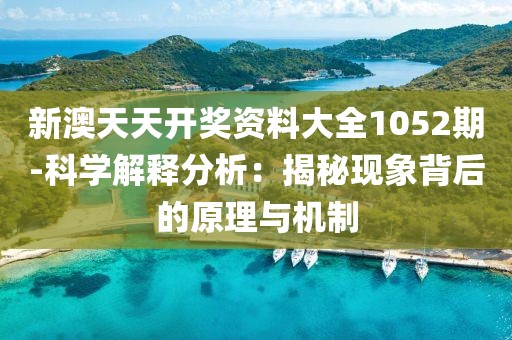 2024年11月19日 第49页