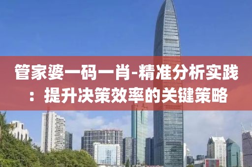 管家婆一码一肖-精准分析实践：提升决策效率的关键策略