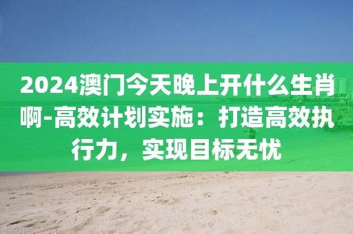 2024年11月19日 第47页