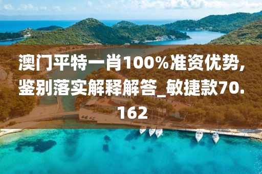 澳门平特一肖100%准资优势,鉴别落实解释解答_敏捷款70.162