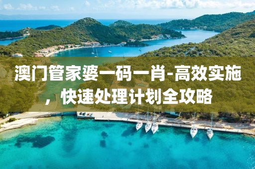 2024年11月19日 第42页