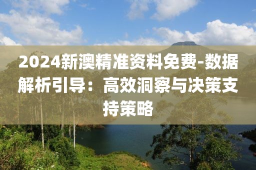 2024新澳精准资料免费-数据解析引导：高效洞察与决策支持策略