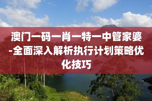 澳门一码一肖一特一中管家婆-全面深入解析执行计划策略优化技巧