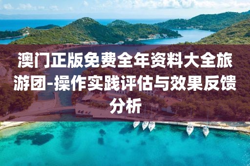 澳门正版免费全年资料大全旅游团-操作实践评估与效果反馈分析