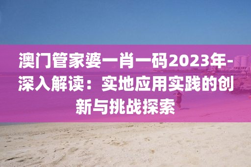 澳门管家婆一肖一码2023年-深入解读：实地应用实践的创新与挑战探索