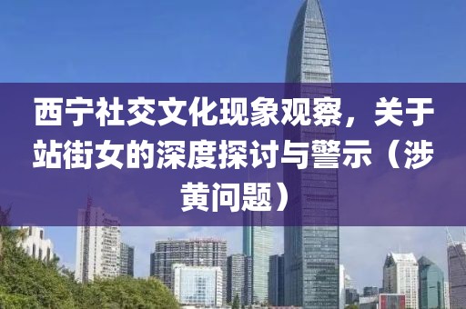 西宁社交文化现象观察，关于站街女的深度探讨与警示（涉黄问题）